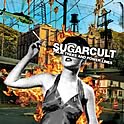 Sugarcult : Palm Trees And Power Lines